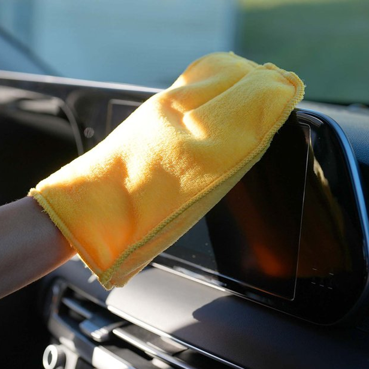 Fresh Clean Dust Magnet Mitt