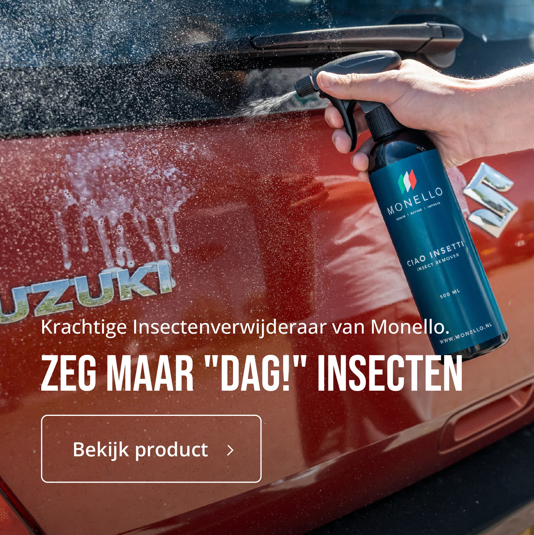 Advertentie, Poster