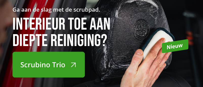 Kussen, Woondecoratie, Hoofdsteun, Persoon