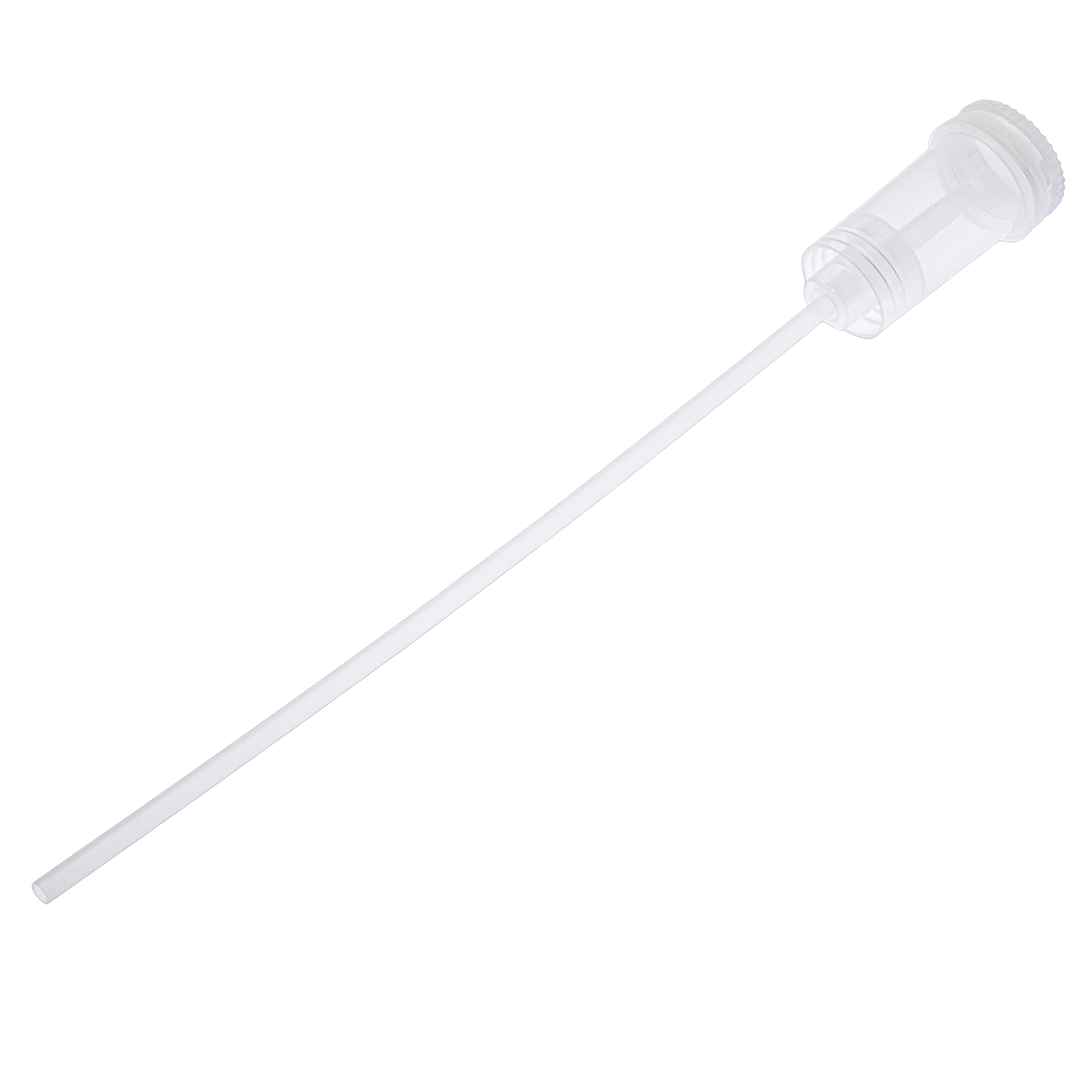 Elektronica