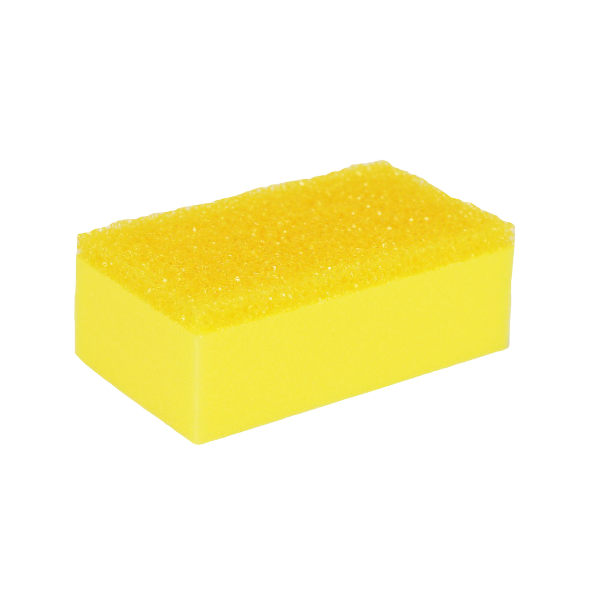 Clean & Safe Insectsponge Spons