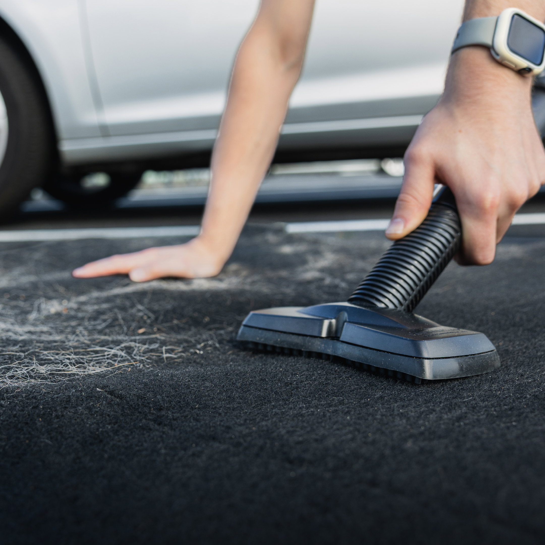 auto cleaning, carpet van, stofzuiger mondstuk, handstofzuiger, hondhaar