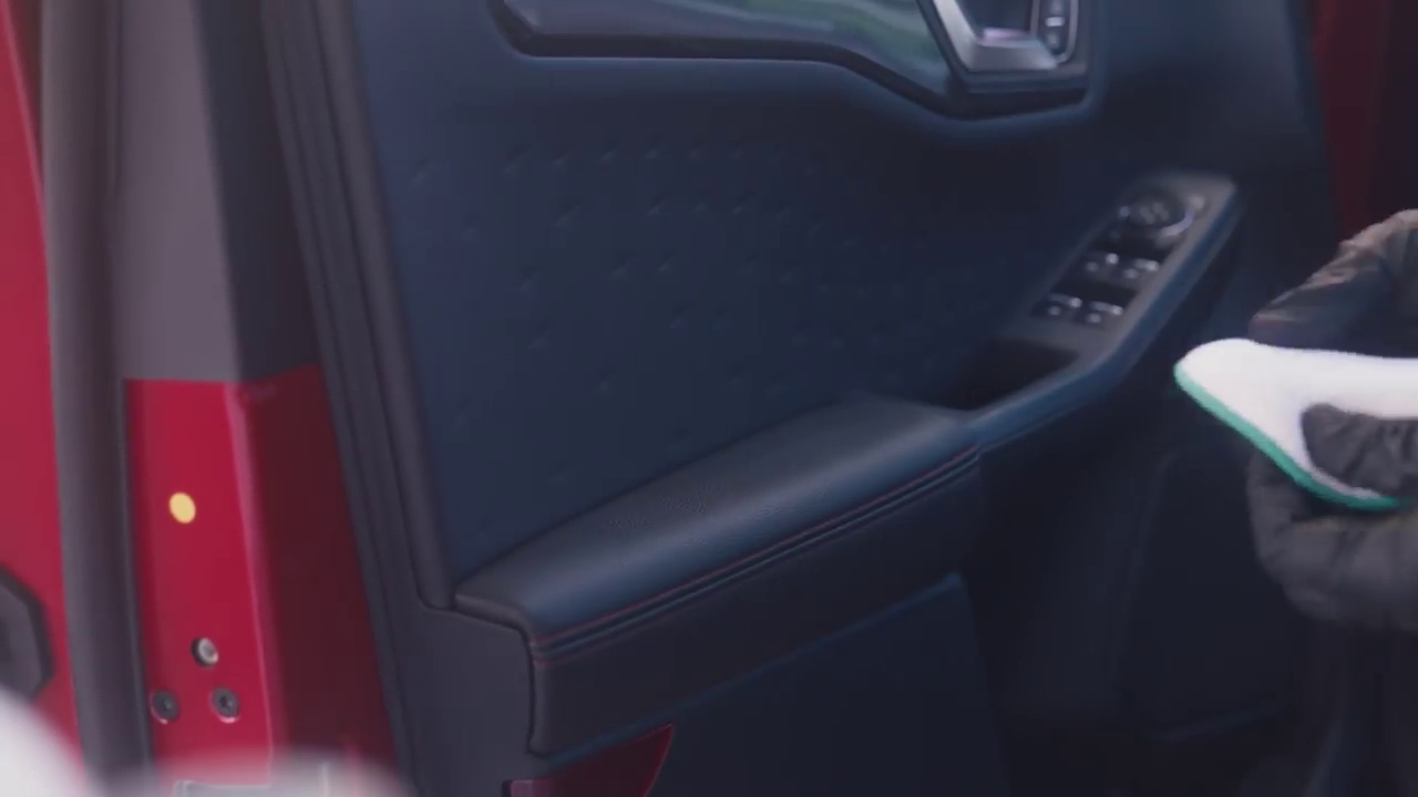 autodeur panel, interieur deur, kleur rood, paneel bekleding, raamknoppen