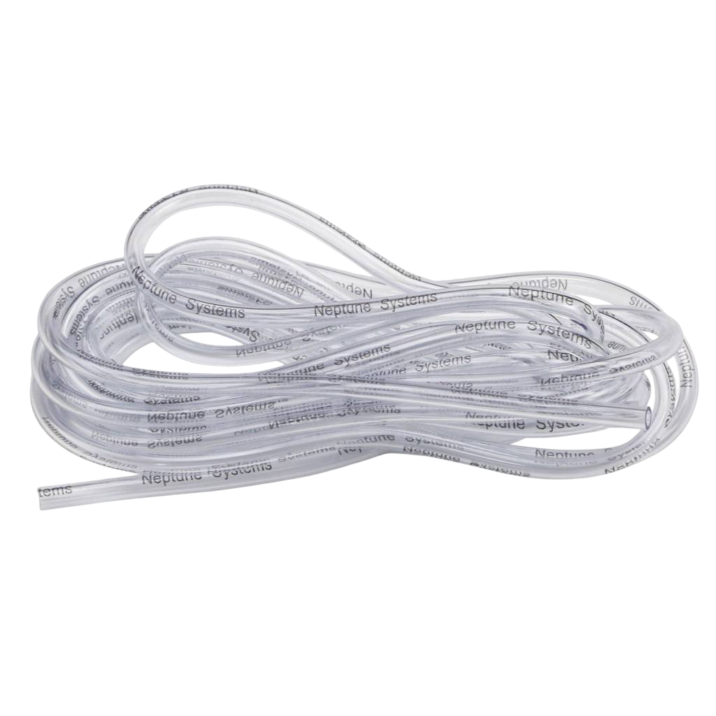 4 Meter Schlange DOS Kleding, Schoeisel, Schoen
