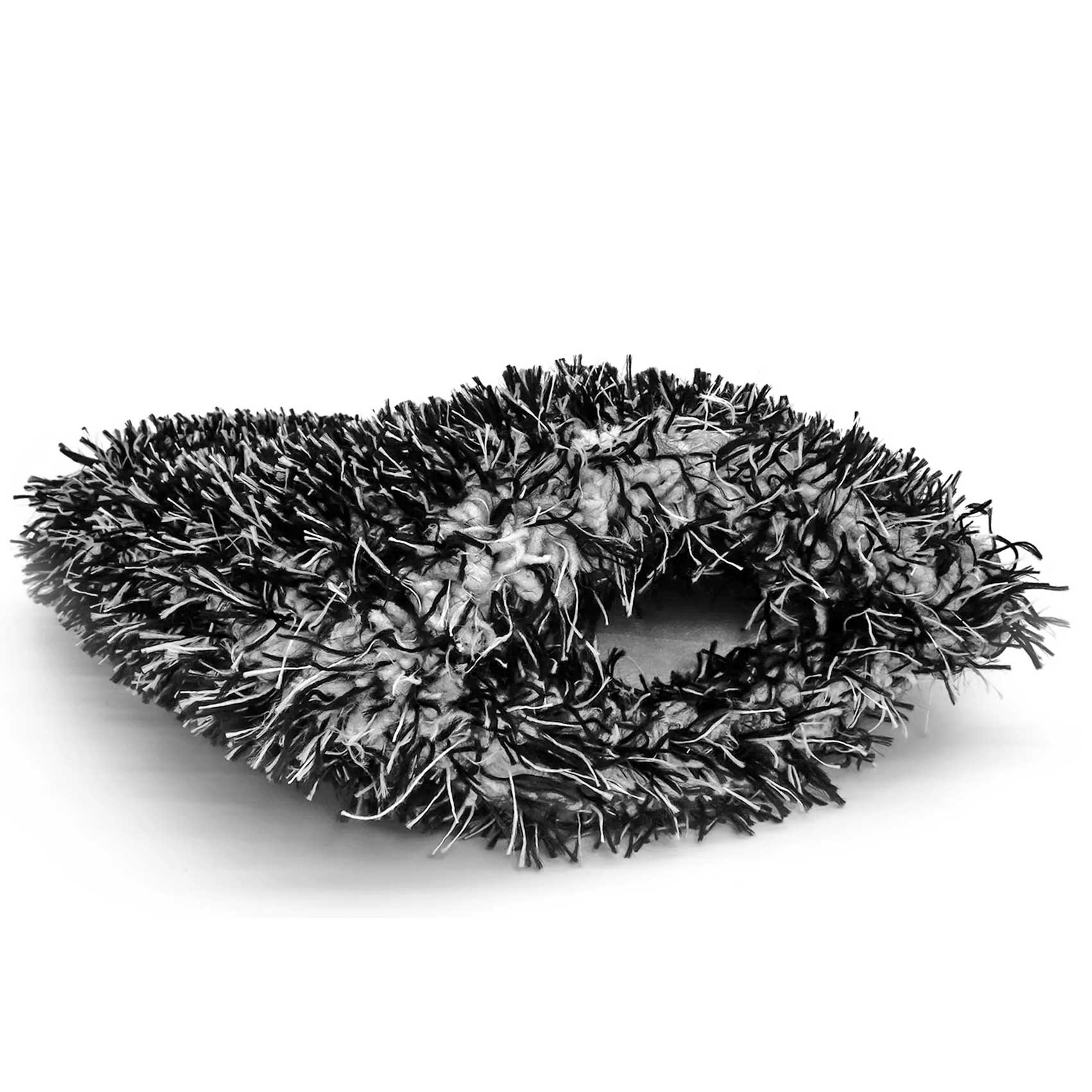Plant, Dier, Zeeleven, Ongewervelde dieren, Egel